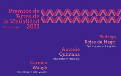 Cierre de Convocatoria 2025 a Premio Carmen Waugh